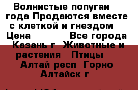 Волнистые попугаи, 2 года.Продаются вместе с клеткой и гнездом. › Цена ­ 2 800 - Все города, Казань г. Животные и растения » Птицы   . Алтай респ.,Горно-Алтайск г.